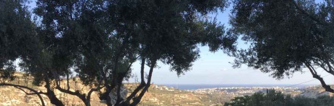 Screenshot 2018-06-15 09.59.34