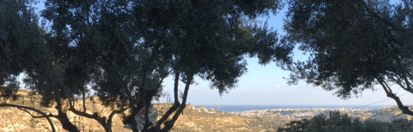 Screenshot 2018-06-15 09.59.34.png